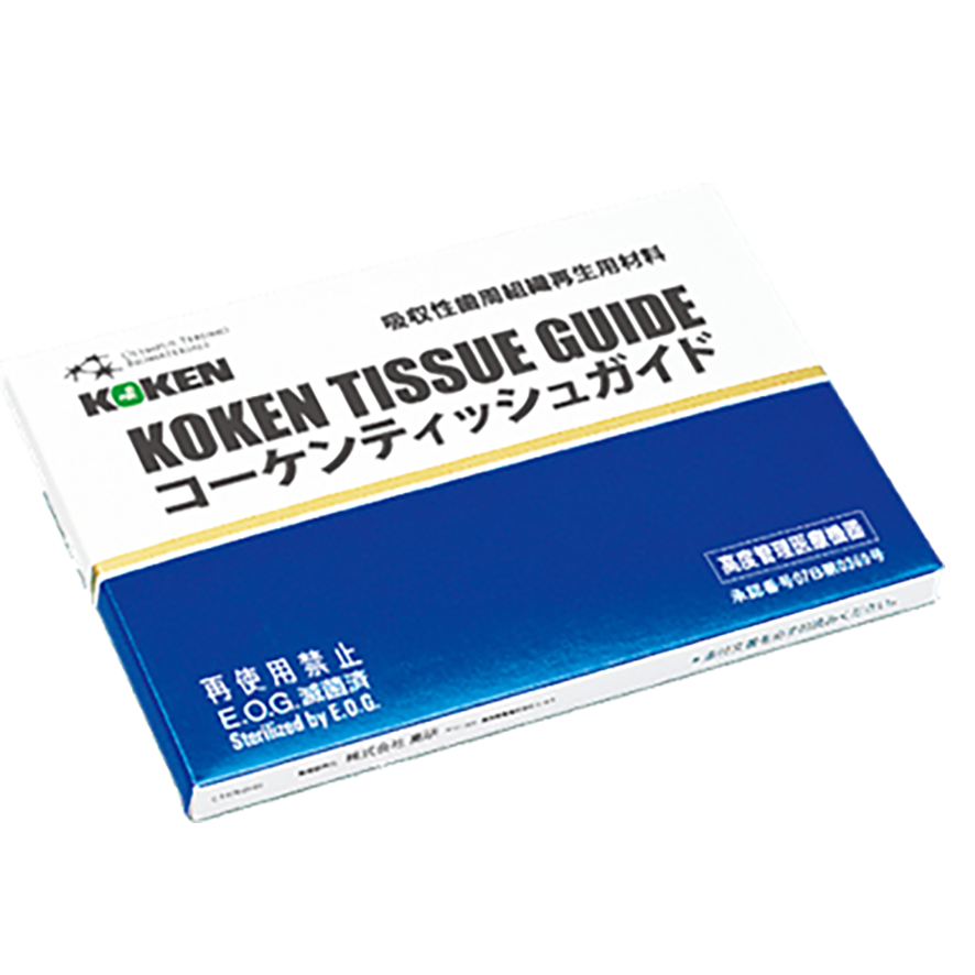 コーケンティッシュガイド2540