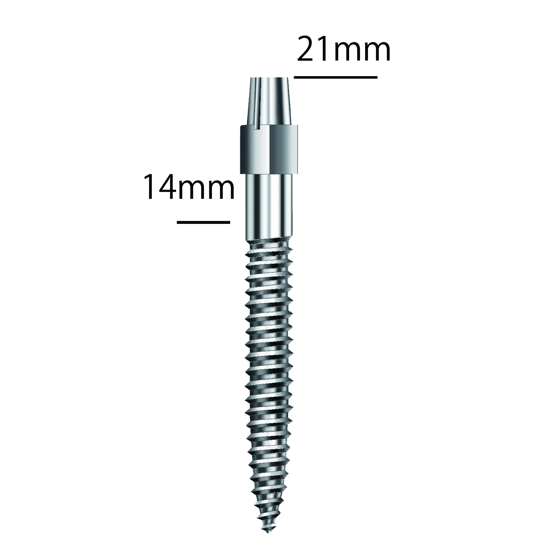 MTI インプラント21mm