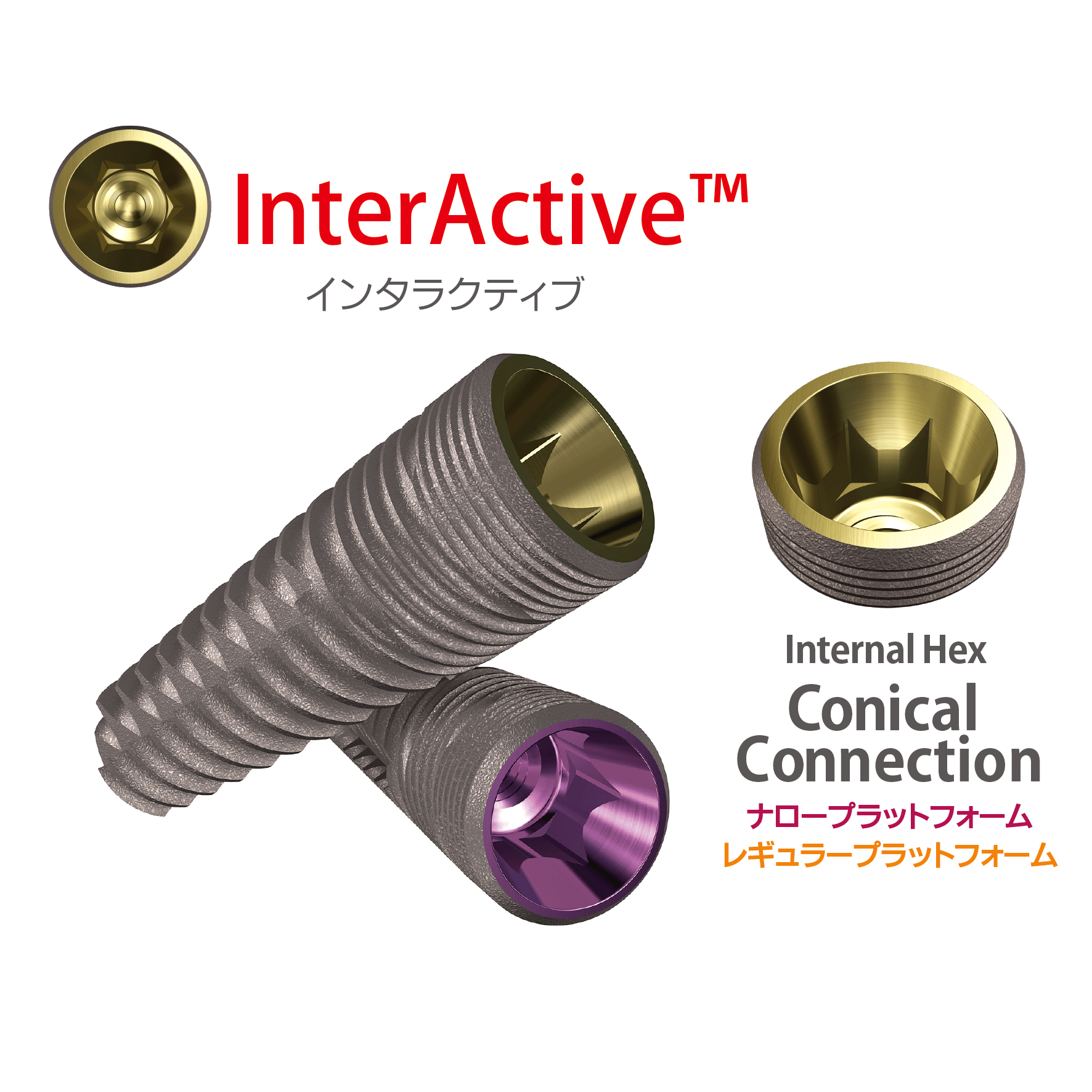 インタラクティブインプラントシステム概要｜株式会社インプラテックス