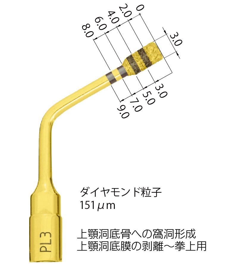 インサートチップPL3