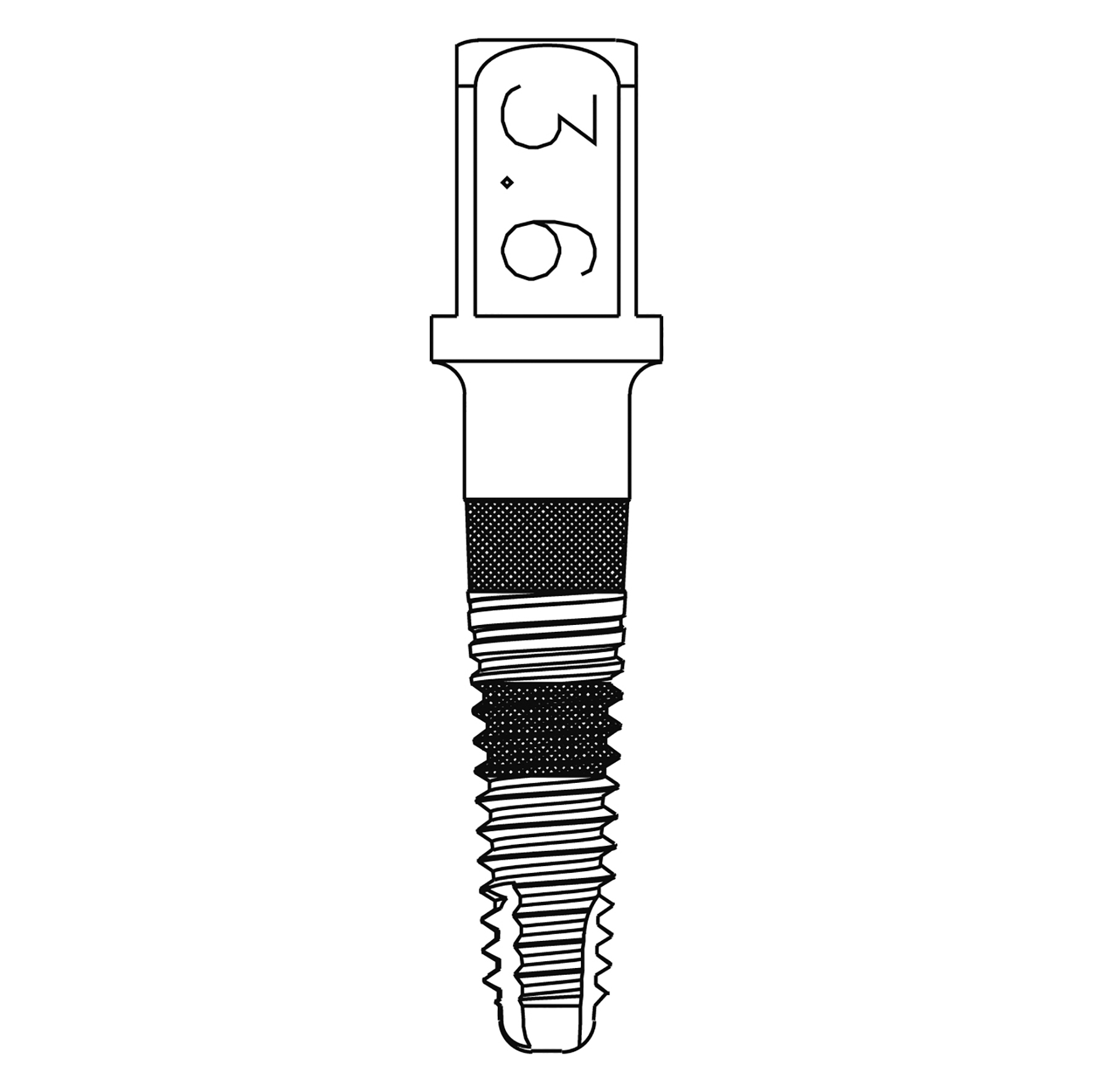 T'SボーンスプレッディングTS3.6S φ2.6/3.6